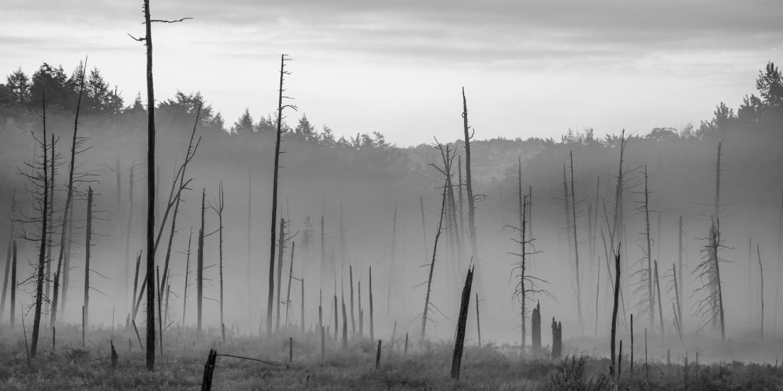 5-Tristesse-min